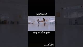 අංගම් පොර