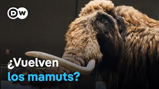 ¿Deberíamos devolverles la vida a especies extintas? | DW Documental