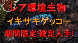 レア環境生物イキサキゲッコー確定入手場所・サイズ・見た目　ＭＨＷＩＢモンハンワールドアイスボーン