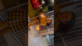 farina azad recent video🥰🥰#diwali #farinaazad #barathikanama