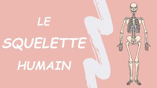 LE SQUELETTE  (TOUS LES OS DU CORPS HUMAIN)