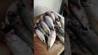 mackerel fish full fry fish cutting