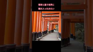 京都・伏見稲荷 不思議な世界 #shorts #伏見稲荷 #japanesetemple