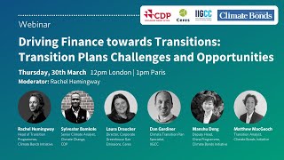 Driving finance towards Transitions - Transition Plans Challenges and Opportunities