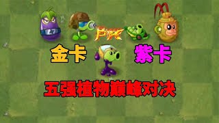 【pvz沙雕配音】五强植物巅峰对决之金卡VS紫卡，谁能胜利呢？