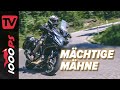 Warum die Honda NT1100 im Frühjahr 2022 mein Lieblingsbike wurde!