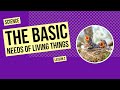 The Basic Needs of Living Things | Science Lesson