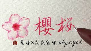 櫻。桜。寫字療癒系列 ✎ 鋼筆字教學｜葉曄×夜夜寫字｜寫字練習