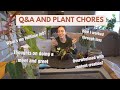 Let's do plant chores while answering your planty and personal questions