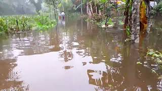 কাঞ্চনপুর, কবিরহাট, ১নং ওয়ার্ড, ৭নং বামনী, রায়পুর, লক্ষ্মীপুর।