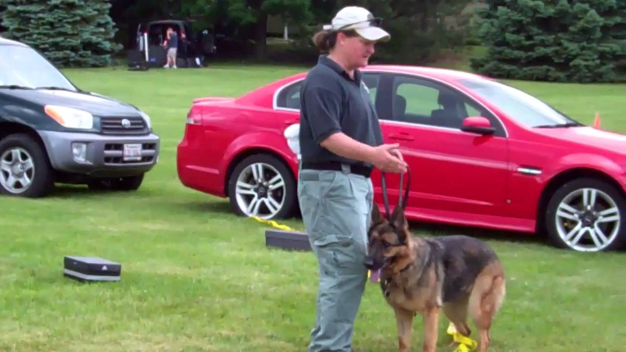 FBI Bomb Sniffing Dog EliteJKD.com - YouTube