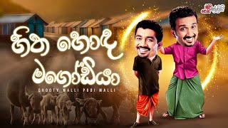 Chooty Malli Podi Malli | Hitha Hoda Magodiya (හිත හොඳ මගෝඩියා)