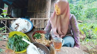 Berkebun sendirian. Masak,makan lanjut mencangkul ladang,menanam singkong dan talas atau keladi.