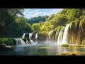 Calming Nature Harmonies 🌿 Relaxing Sounds to Soothe Mind and Body