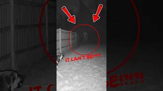 Skinwalker Caught on Camera with the Dog 🐕💀 #skinwalker #scary #shorts