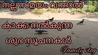 വീട്ടിൽ കാക്ക വരുന്നവർ ഇത് ശ്രദ്ധിച്ചിട്ടുണ്ടോ?#kanneermazha #youtubevidio