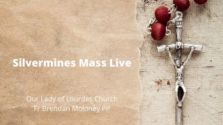 Silvermines Mass Live | Our Lady of Lourdes Church | 32nd SUNDAY IN ORDINARY TIME