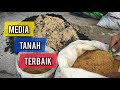 Good Soil Mix For Bonsai