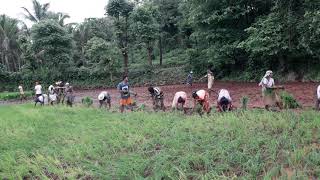 Kokan Bhaat Lavani