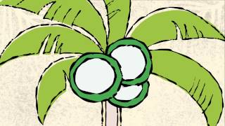 Cocomax Animation