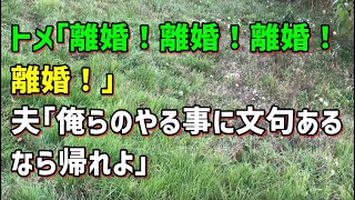 【スカッとひろゆき】トメ｢離婚！離婚！離婚！離婚！｣ 夫｢俺らのやる事に文句あるなら帰れよ｣