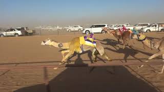 ميدان شرورة-الشوط الأول حقايق بكار  ( سيارة) المسافة ٣كيلو (مهمة) ل مسلم بن الوارد الصيعري