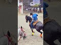 caballo bailador desfile de las fiestas patrias uniÓn de san antonio 2024 🇲🇽 horse dancing shorts