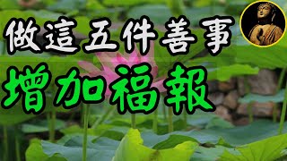 【佛法無邊】做這五件善事，增加福報，晚輩一定要看