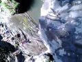 Devils pool