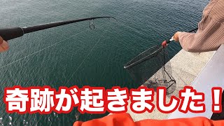 【まさかの奇跡】目の前で2人同時ヒットの瞬間がやばすぎた…【ショアジギング/飲ませ釣り】