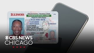 Digital IDs to become available for Illinois residents