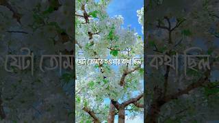 যেটা তোমার নয় সেটার পিছনে সময় নষ্ট করোনা!! মিজানুর-রহমান-আজহারী#shorts #