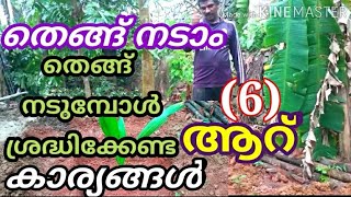 തെങ്ങ് നടാം. തെങ്ങ് നടുമ്പോൾ ശ്രദ്ധിക്കേണ്ട 6 കാര്യങ്ങൾ / 6 Tips for Coconut Cultivation