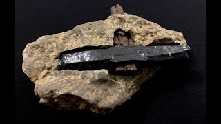 The 400 Million Year Old Hammer