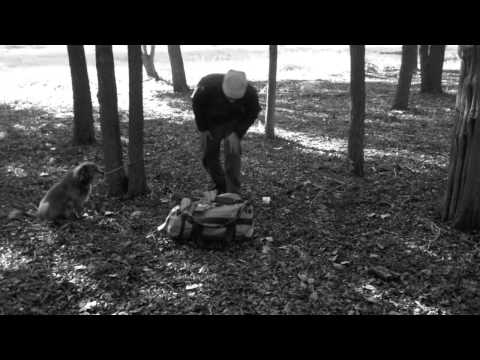 To Build a Fire short story To Build a Fire short story