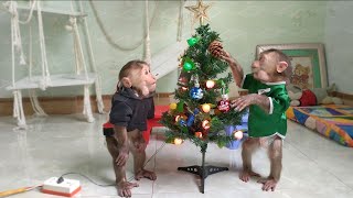 Mimi Kuku helps mom decorate the Christmas tree