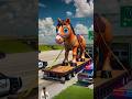 ❤️ Evolution of Cat : Horse Transporting 🥰 mithi miaw ✅ #cat#cute#love#shorts