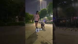 带狗狗去滑板，尽我所能，带你一起做更多的事