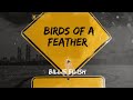 Billie Eilish - BIRDS OF A FEATHER (Official Music Audio)@BillieEilish