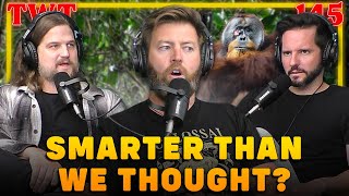 Injured Orangutan Seen Using Plants As Medicine - The Wild Times Ep. 145