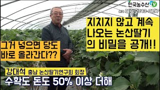 [한국농수산TV] 딸기 농사 수확도 돈도 50% 더 벌었어요! 지치지 않고 계속 나오는 딸기의 비밀 - 충남 논산 (문의 010-5405-5885)