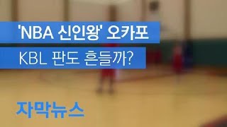 [자막뉴스] NBA 신인왕 출신 오카포, KBL 판도 흔들까? / KBS뉴스(News)