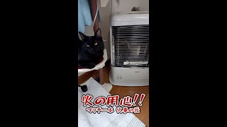 火の用心！！暖房器具を見守る猫！