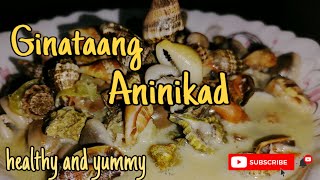 How to cook |ginataang aninikad||plicate conch|#lutoniLaviel09|healthy and nutritious seashell|