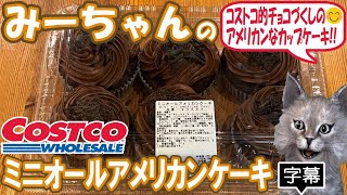 【字幕付き】コストコのお菓子の新商品！ミニオールアメリカンケーキの紹介です！スポンジもクリームも上のトッピングもすべてチョコというチョコづくしのコストコらしいアメリカ～ンなカップケーキでした！