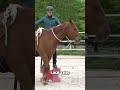 why i don t use a saddle for the first ride younghorse horsetraining horseriding horses