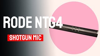 Before You Buy Any Shotgun Mic, Take a Look at the Rode NTG4