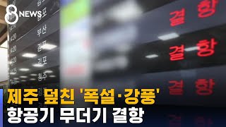 제주엔 '폭설 · 강풍'…항공기 수백 편 무더기 결항 / SBS