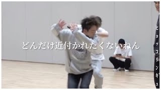 このダンス公式でいいんちゃう？【세븐틴/セブチ】