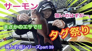 釣ガチ海上釣堀シリーズpart 39 釣れるマダイが全部タグ付き！？